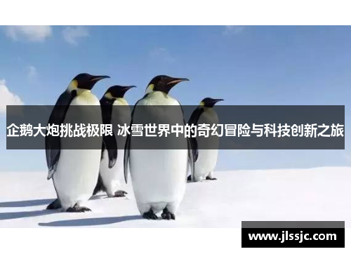 企鹅大炮挑战极限 冰雪世界中的奇幻冒险与科技创新之旅
